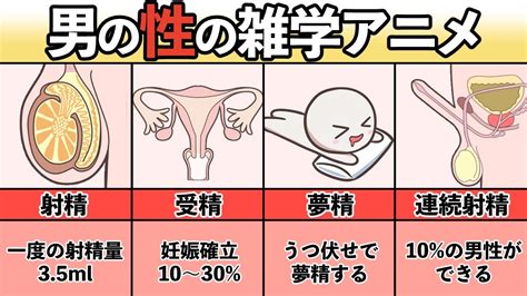 勃起 放置|EDはどんな病気？原因や治療方法は？放置するとどうなる？